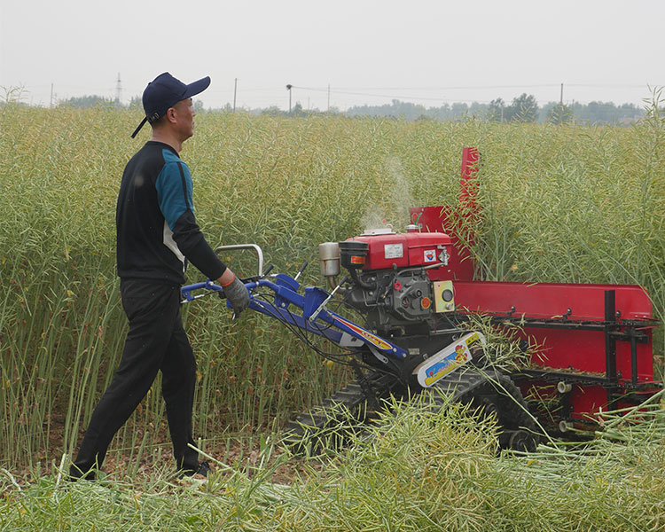 油菜收割機(jī)多少錢一臺(tái)