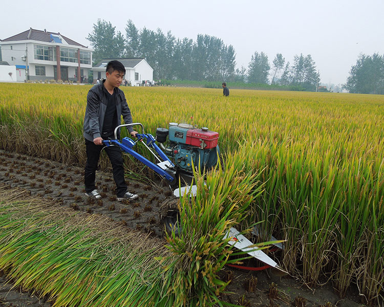 丘陵山區小型水稻收割機